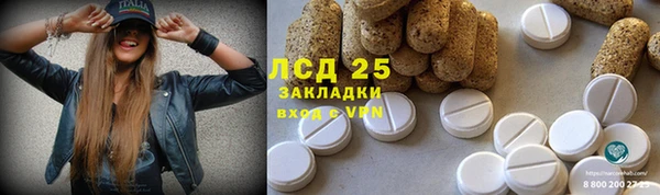 mdpv Богданович