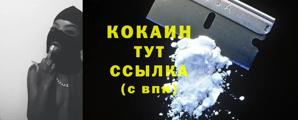 стаф Белокуриха