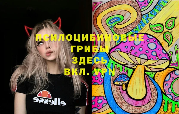 мяу мяу мука Саяногорск