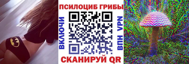 купить наркотик  Няндома  Псилоцибиновые грибы GOLDEN TEACHER 
