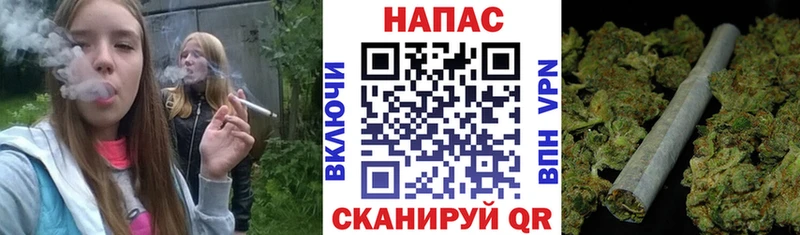 Бошки марихуана ГИДРОПОН  Няндома 